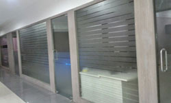 Bihar glass film